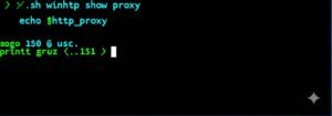 How to Find Your HTTP Proxy Settings
