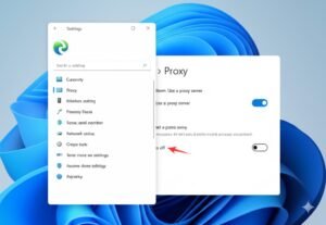 How to Disable Proxy